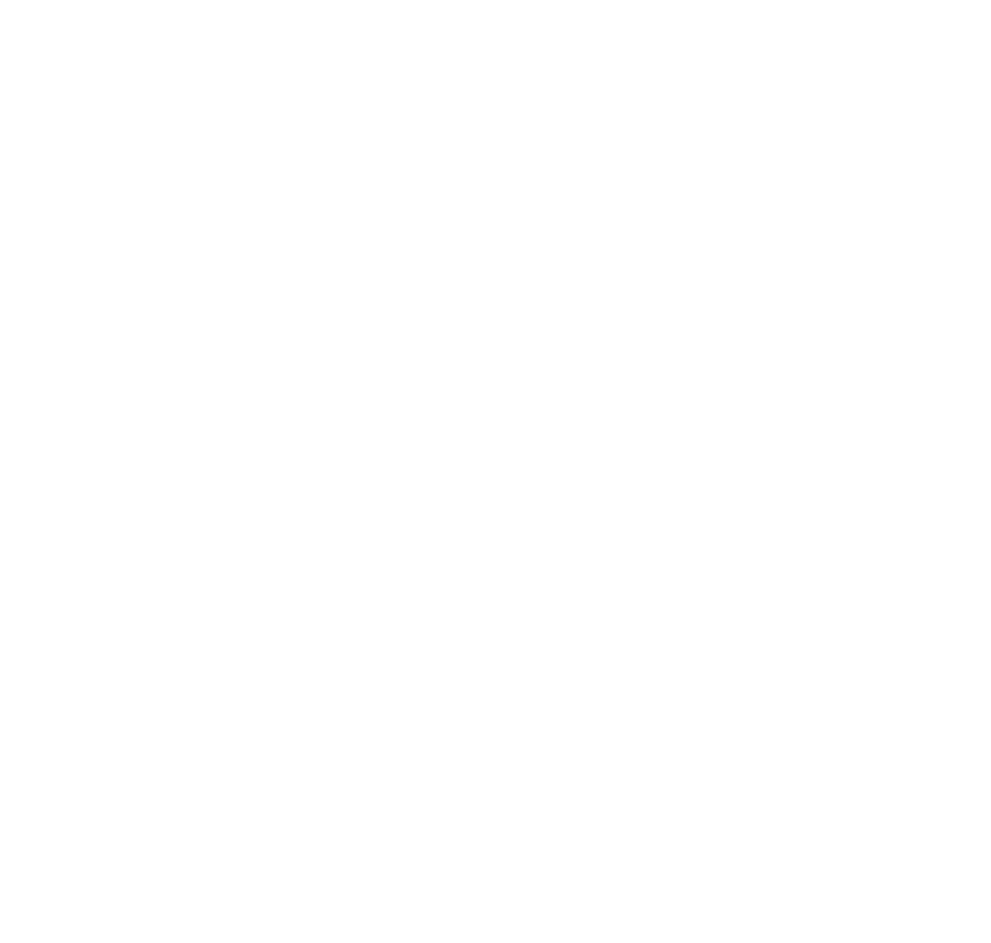 noisyphotostudio.com